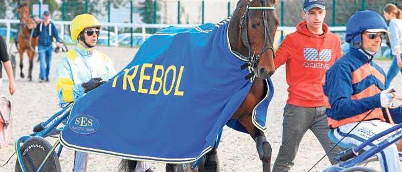 El campeón internacional Trébol, con Biel Pou a sus riendas, el 13 de marzo en el hipódromo francés de Cagnes sur Mer.