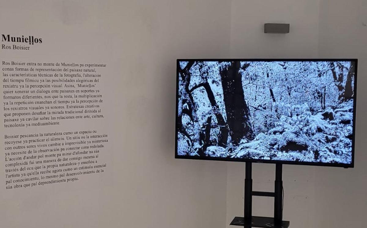 Audiovisual en la exposición de Ros Boisier en Cangas del Narcea.