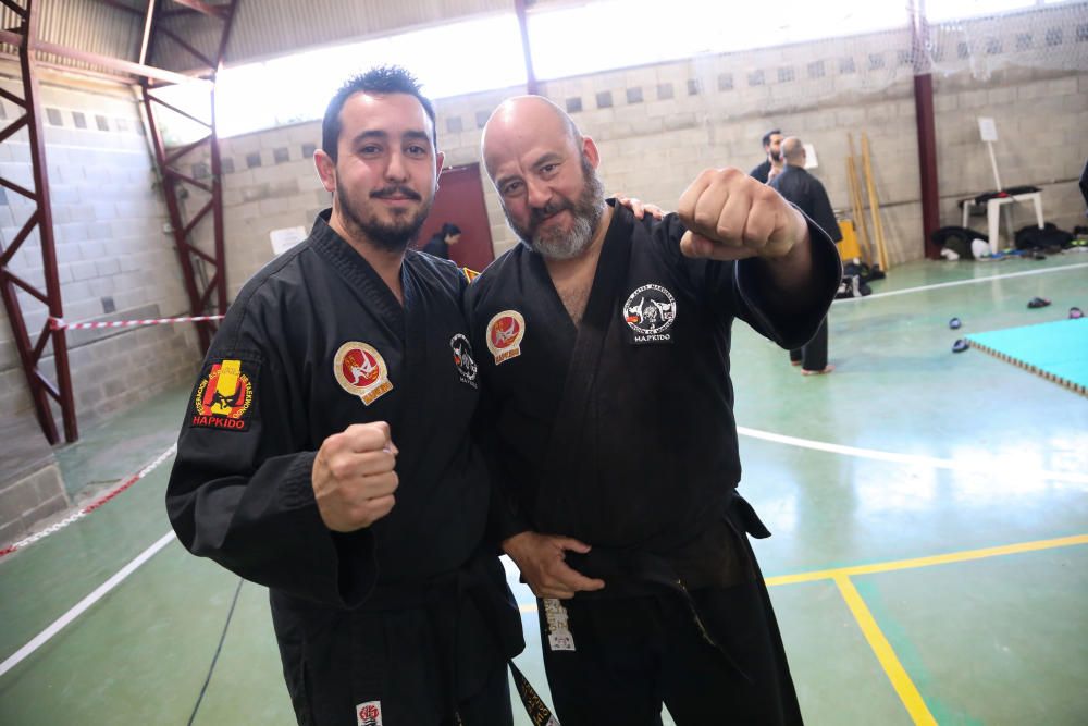 Campeonato regional de hapkido