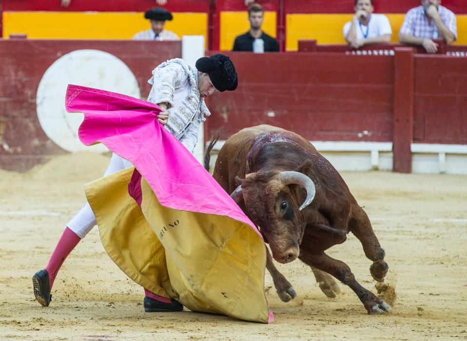 El novillero alicantino Jorge Rico triunfa en casa