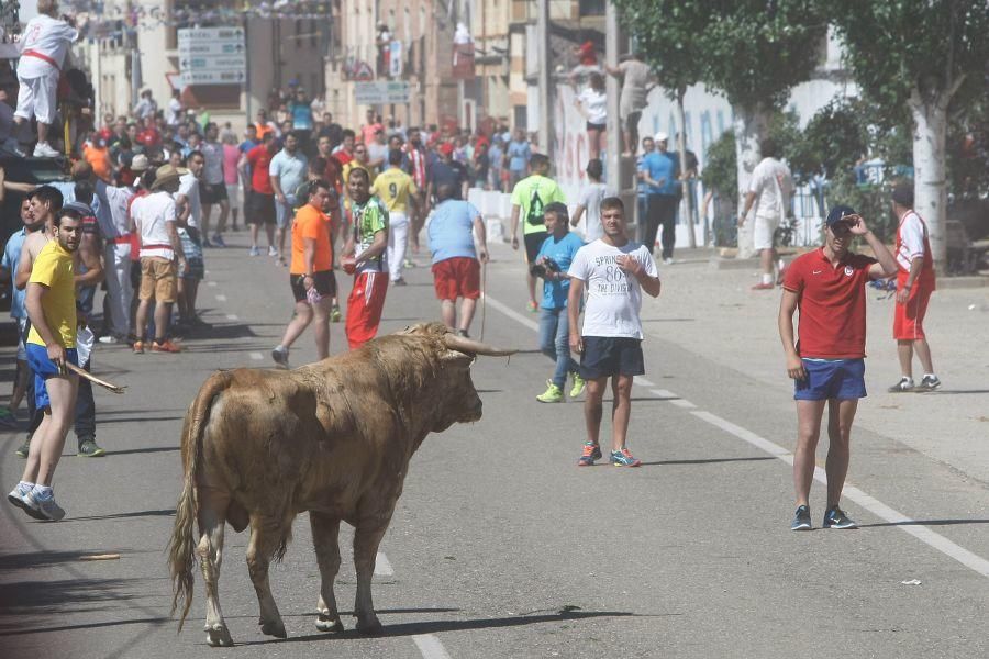 Fiestas en Zamora: Segudos espantes de Fuentesaúco