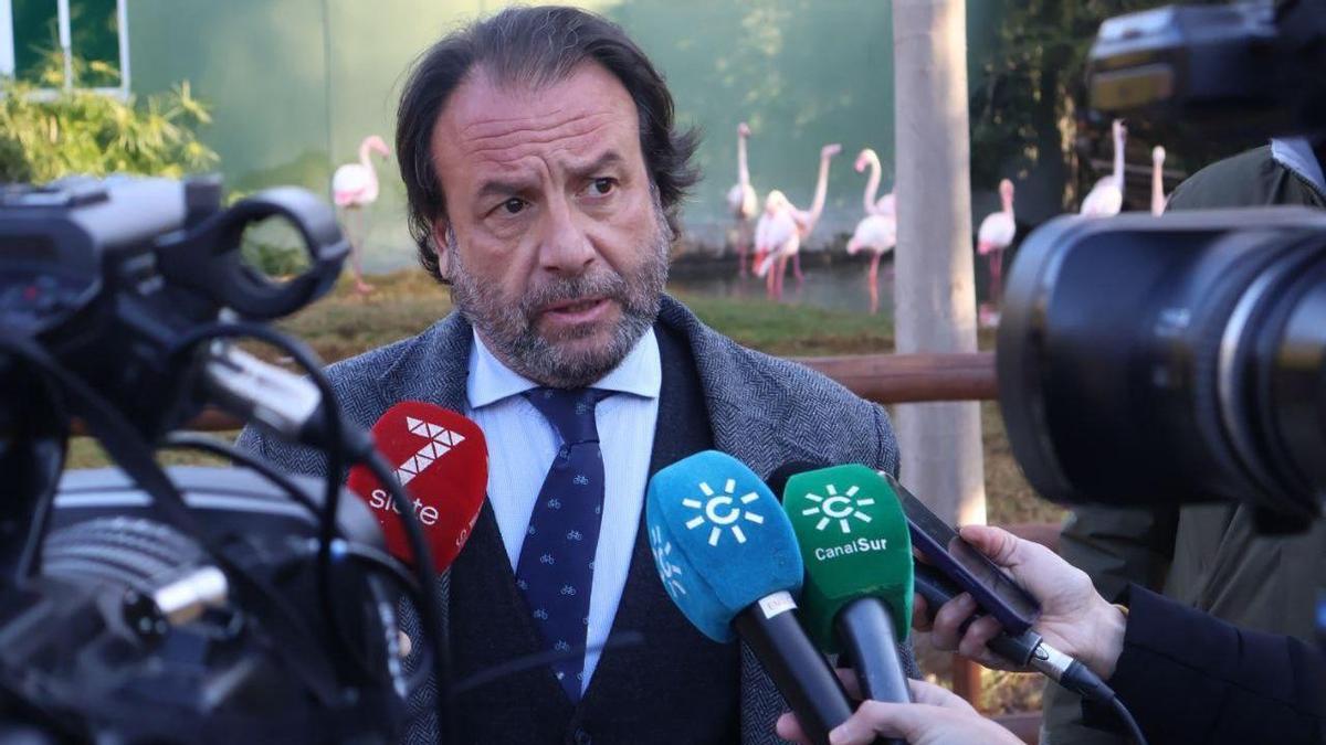 El teniente de alcalde y delegado de Sostenibilidad y Medio Ambiente ante los medios.