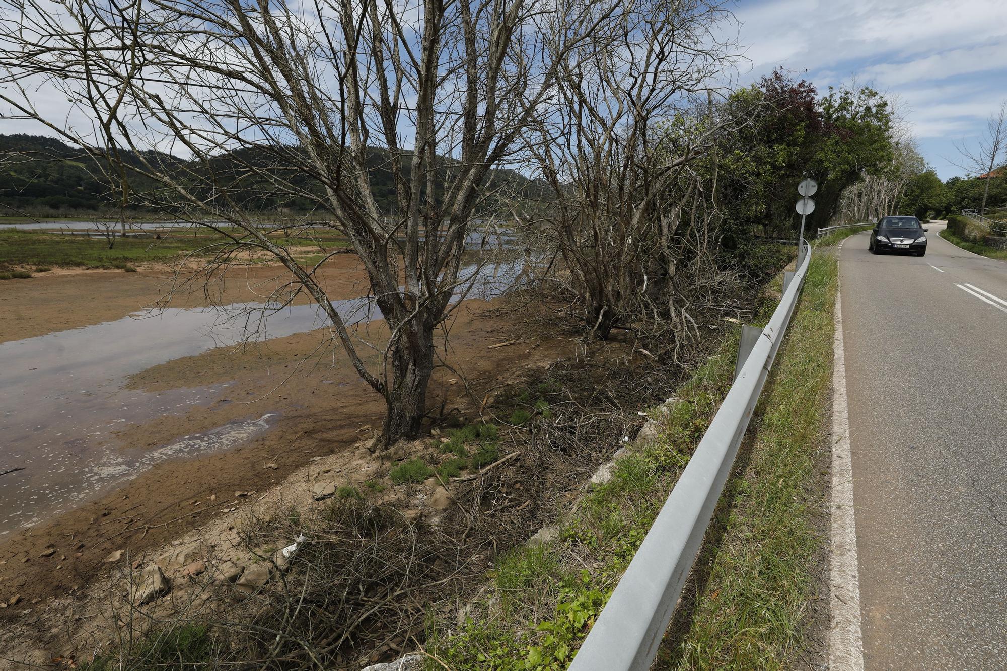 La ría de Villaviciosa se malbarata: la ruina de un entorno privilegiado asturiano
