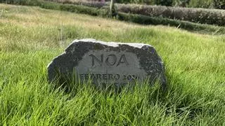 Un año después de la perrita Noa: así ha sido el debut del cementerio público de animales de Málaga