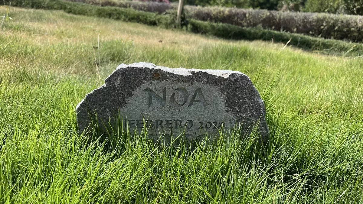 Un año después de la perrita Noa: así ha sido el debut del cementerio público de animales de Málaga