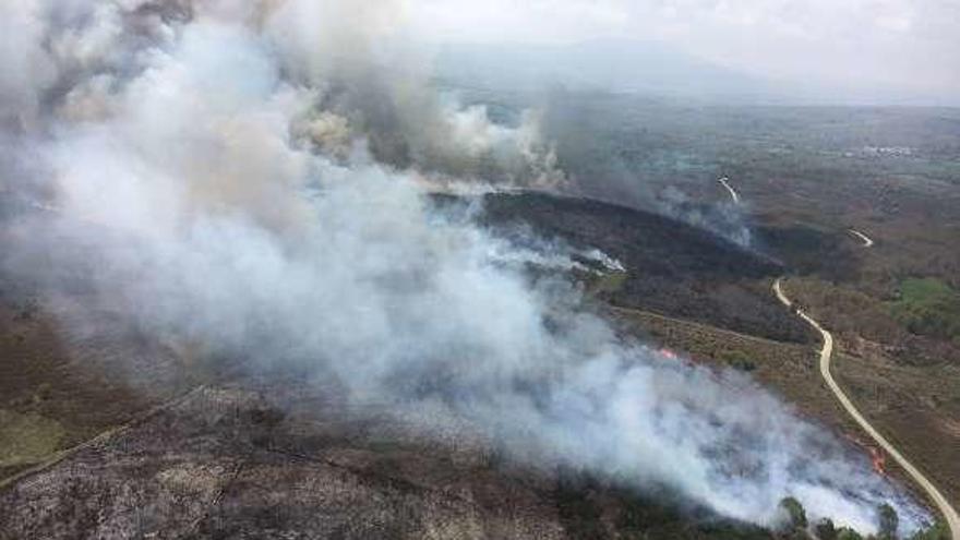 El fuego se originó por varios focos simultáneos. // FdV