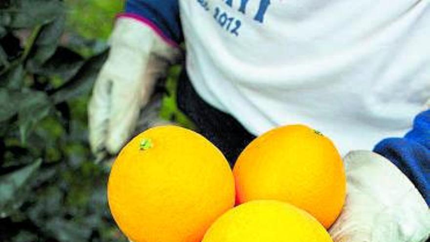 Los temores del campo se disipan