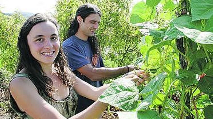 Daniel Lasheras y Vanina Bailone trabajan en su huerto.