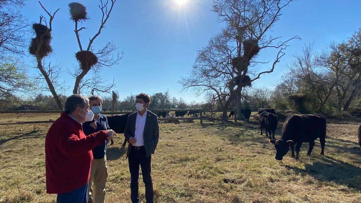 Visita del conseller Damià Calvet