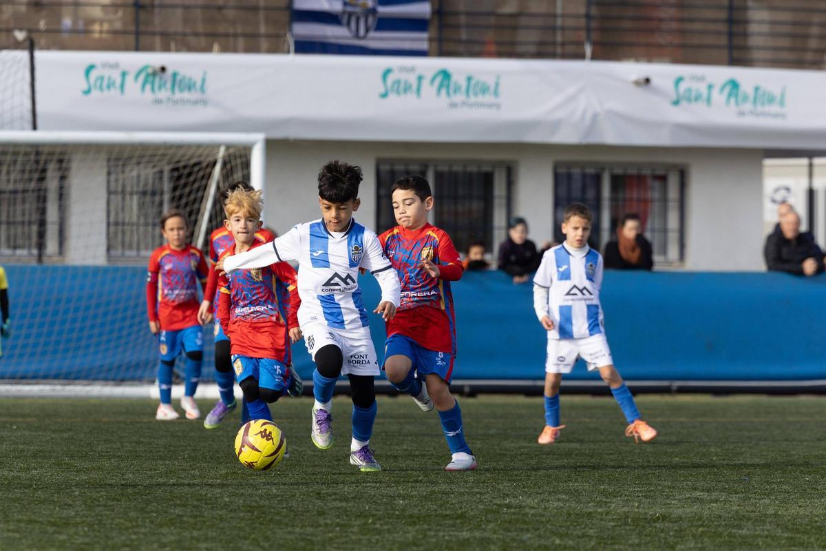 Galería: Torneo Fibwi en Sant Antoni Galería: Torneo Fibwi en Sant Antoni