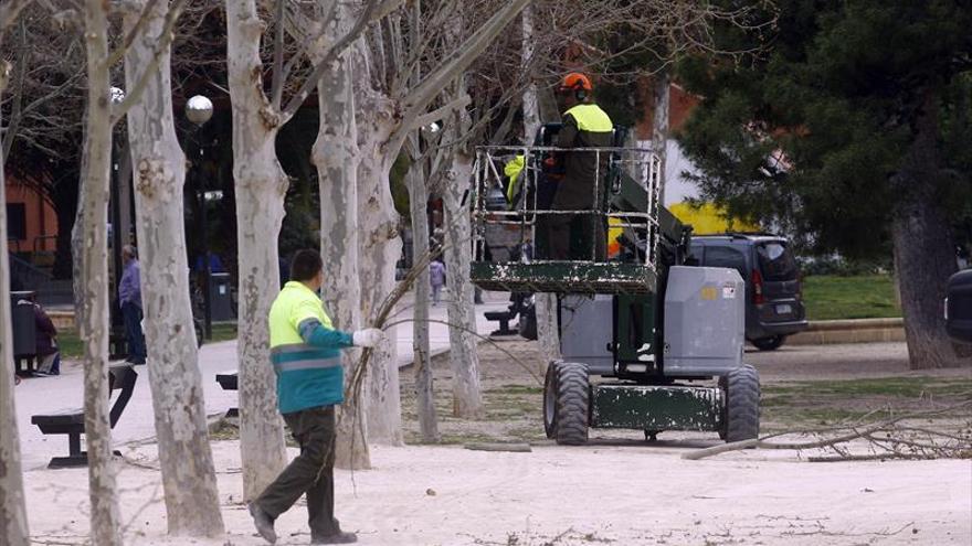 La oferta técnica de FCC es la mejor valorada para el servicio de parques