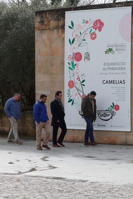 Camelias en el Botánico