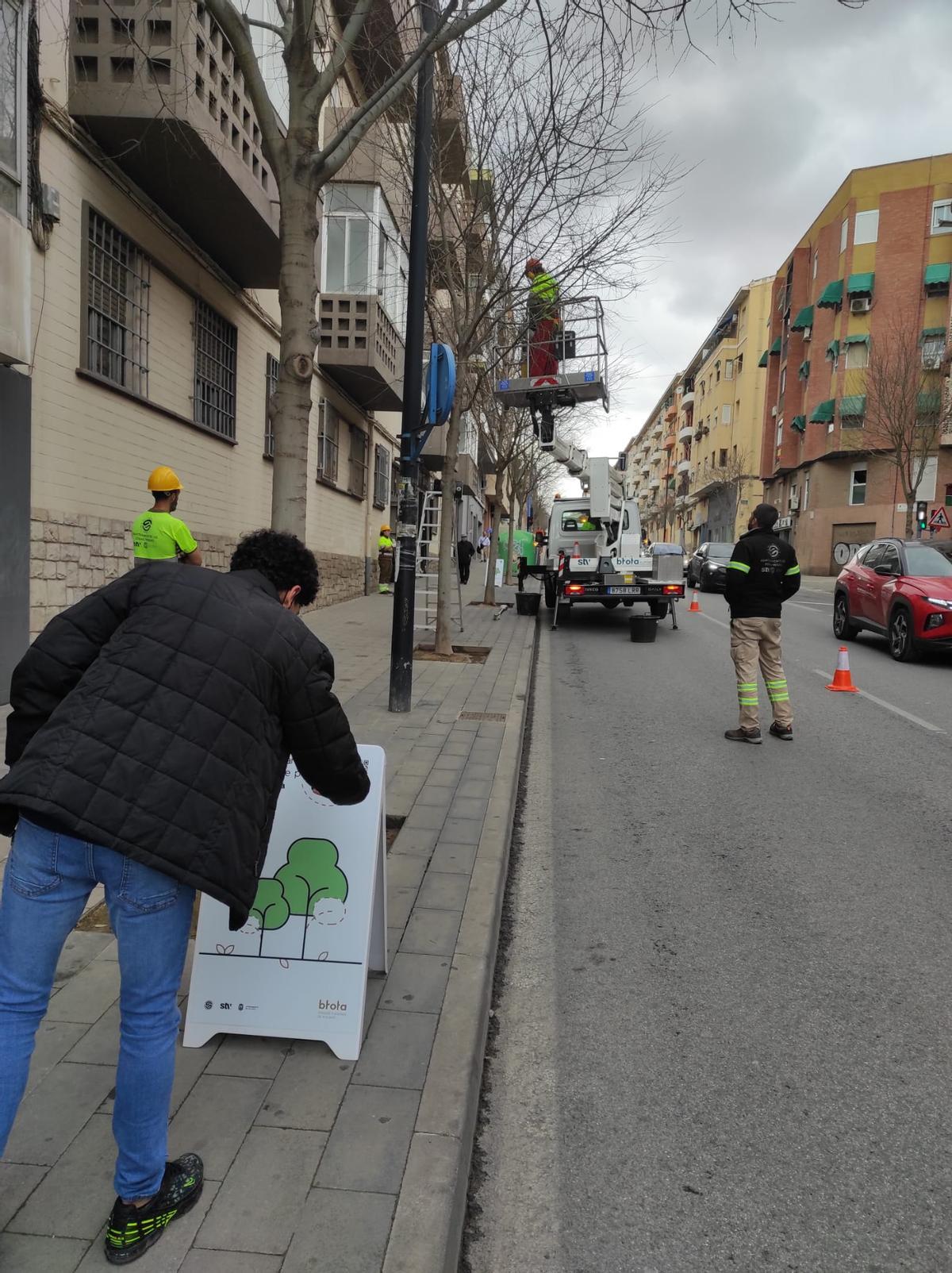 El objetivo de esta iniciativa es dar a conocer los cambios en los criterios de poda que se han introducido en los últimos meses
