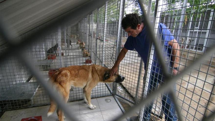El Ayuntamiento de Badajoz niega que los perros lleven meses sin contacto humano