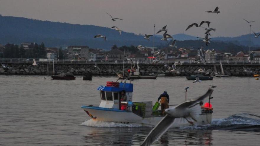 Una embarcación se resguarda en el puerto de Tragove (Cambados). |   // IÑAKI ABELLA