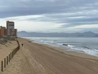 Coto al ser humano en las playas de Elche