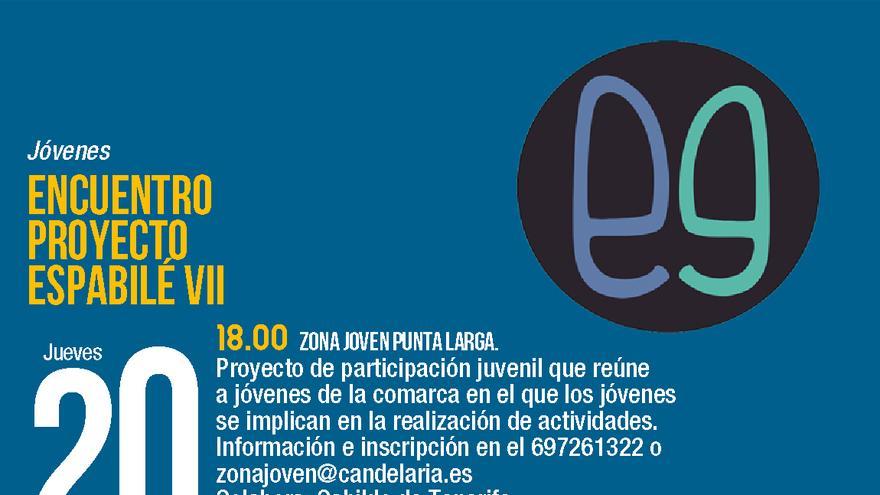 Encuentro Proyecto Espabilé VIII