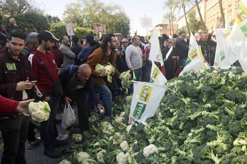 Así ha sido la manifestación de los agricultores en Murcia (II)