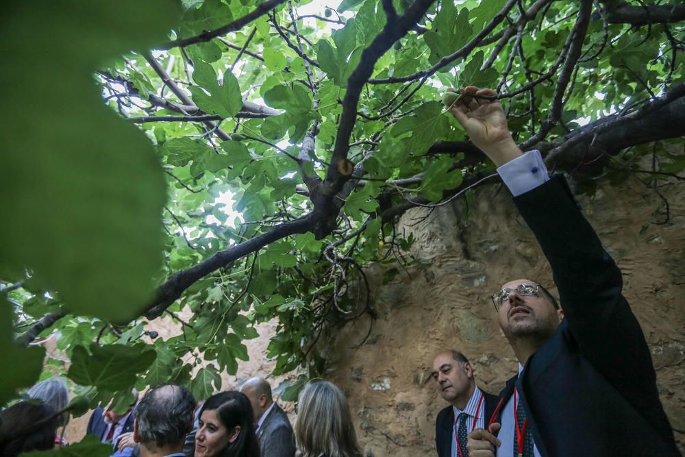 Los directivos de la reunión anual del Instituto Cervantes que acoge el Colegio Santo Domingo visitaron la casa museo Miguel Hernández, el museo de arte sacro y la Catedral