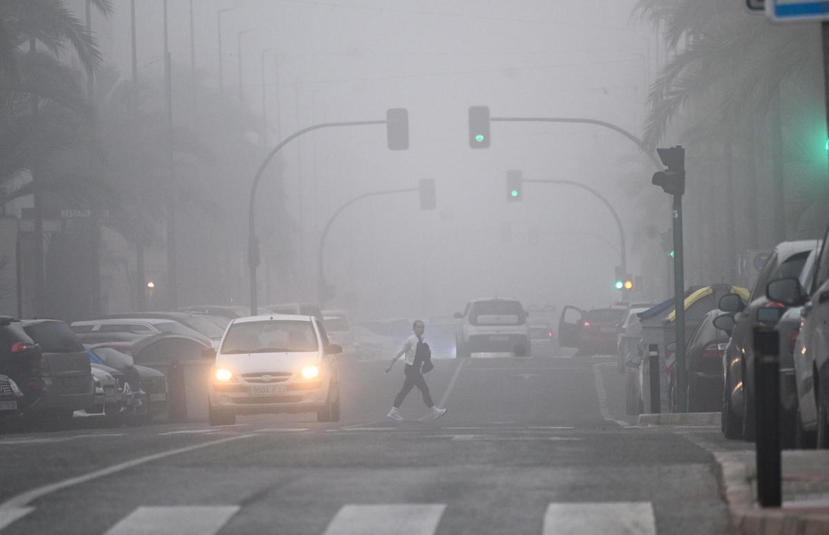 La niebla deja estampas invernales en la provincia de Alicante