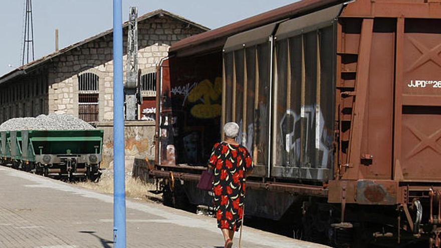 Vagones de mercancías, en la estación de tren de Zamora.