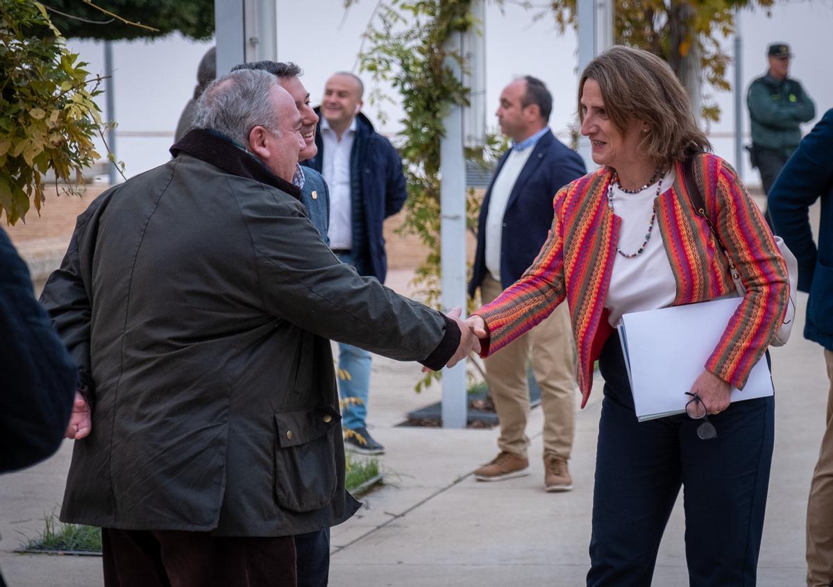 La vicepresidenta Teresa Ribera durante la presentación del Plan de Actuaciones en Doñana en Almonte (Huelva). La vicepresidenta Teresa Ribera durante la presentación del Plan de Actuaciones en Doñana en Almonte (Huelva).