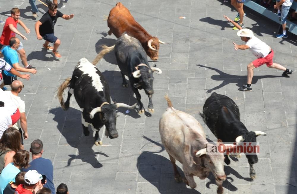 I Encierro de Blanca 2016