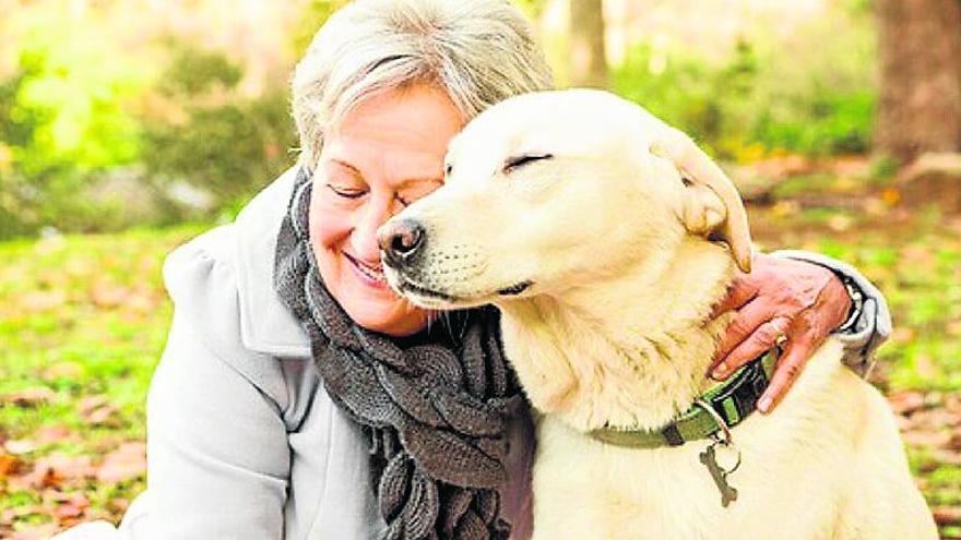 Un animal posee las cualidades que más necesita una persona en la tercera edad.