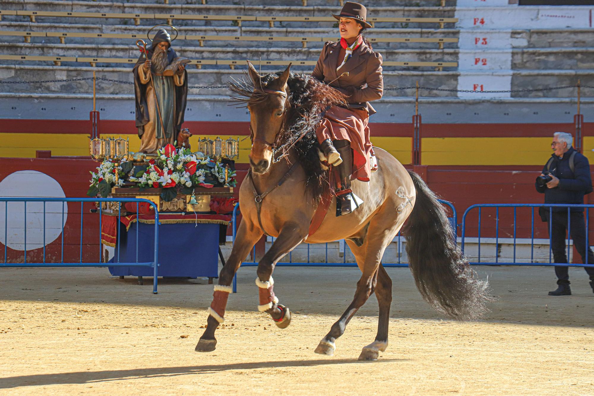 Concurso ecuestre y Bendición de animales por San Antón en Alicante