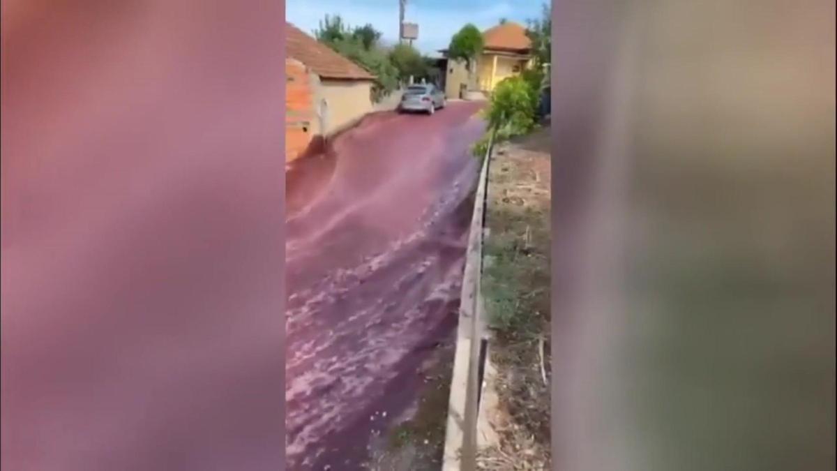 Un pueblo de Portugal se llena de vino tinto tras la explosión de dos tanques de una bodega