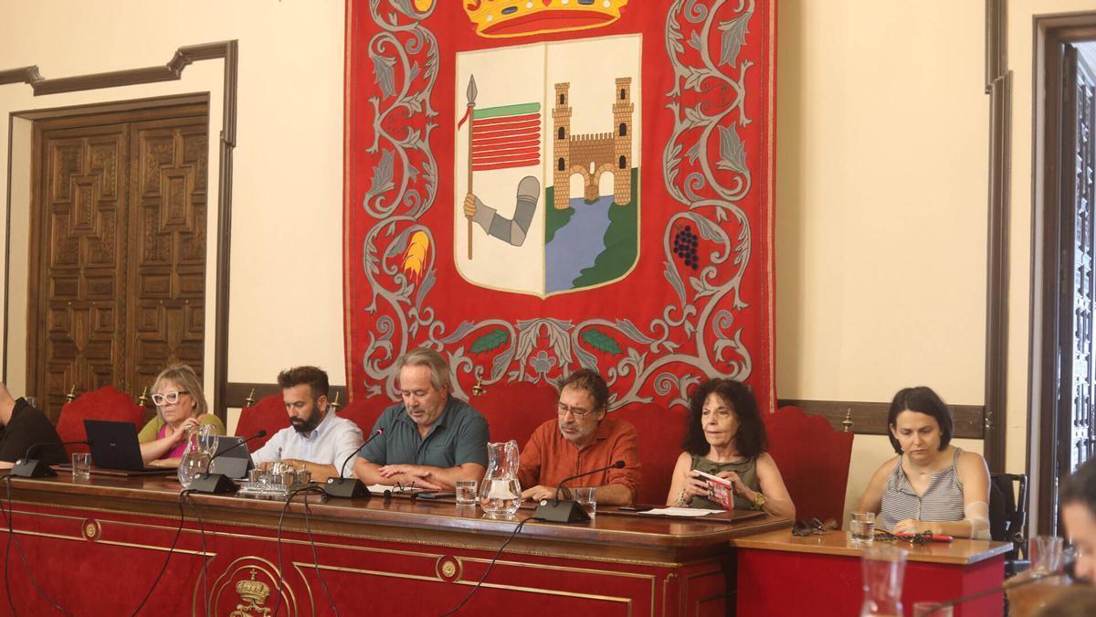 Sesión plenaria de este viernes en la que se ha aprobado la modificación presupuestaria.