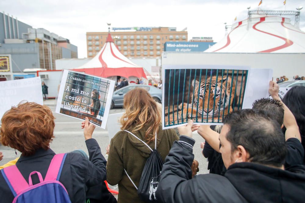 Protesta contra un circo con animales en Alfafar