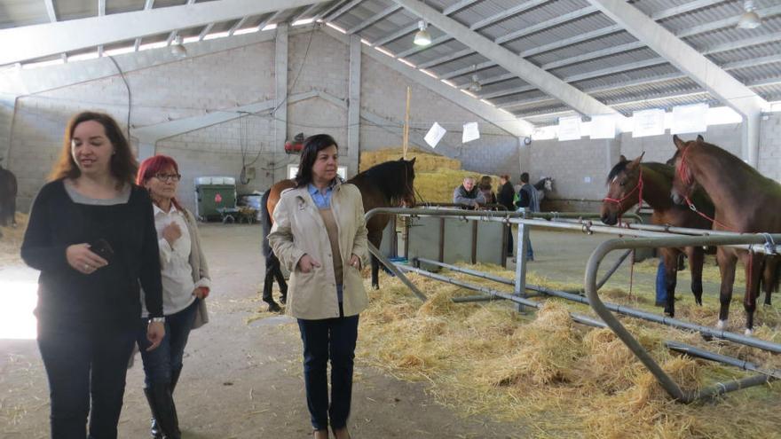 Agroganadería destaca la capacidad de  las razas autóctonas para favorecer la competitividad