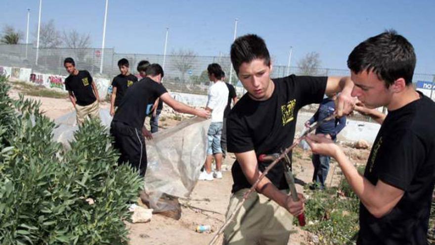 Los alumnos aprenden durante el curso a podar, instalar riego por goteo, y a plantar las plantas que tienen en el invernadero.