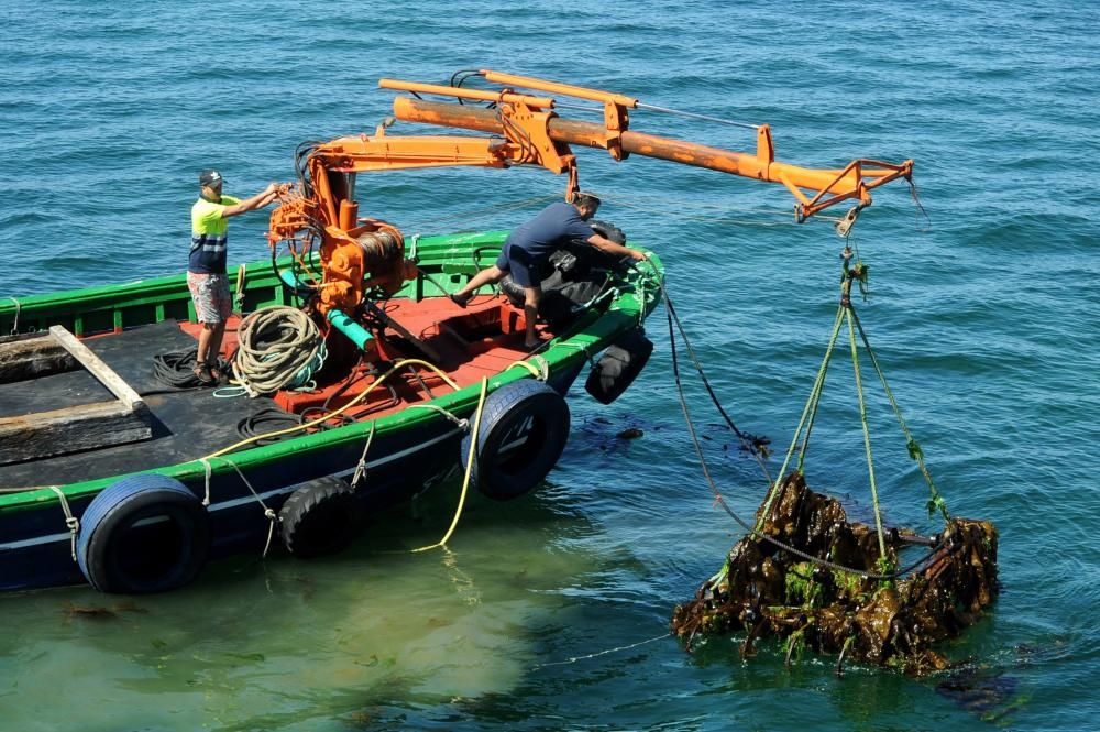 A Illa regenera varias zonas de su litoral