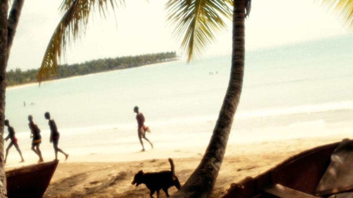 Caribe, los colores del trópico