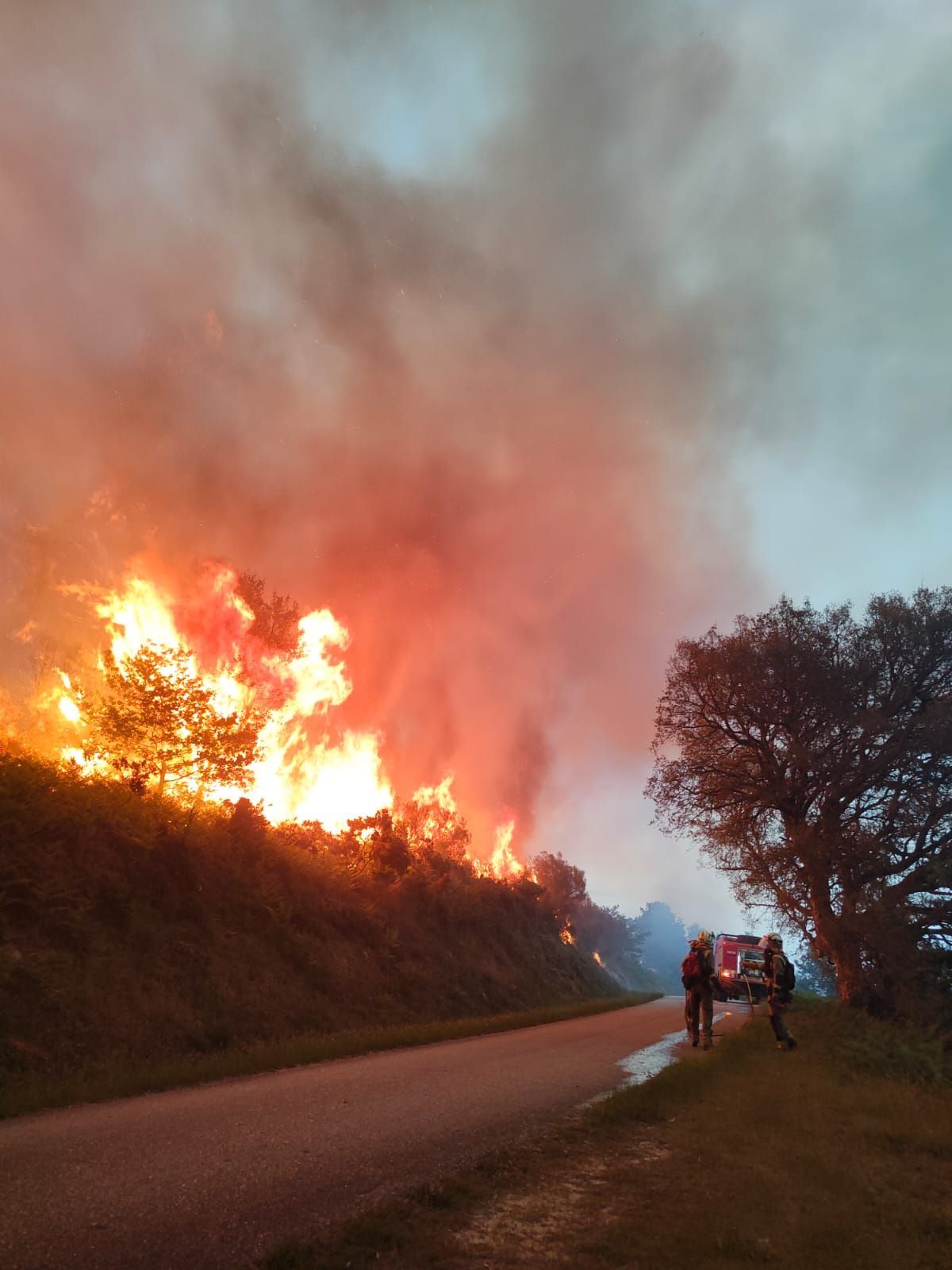 Un incendio arrasa los montes de Crecente