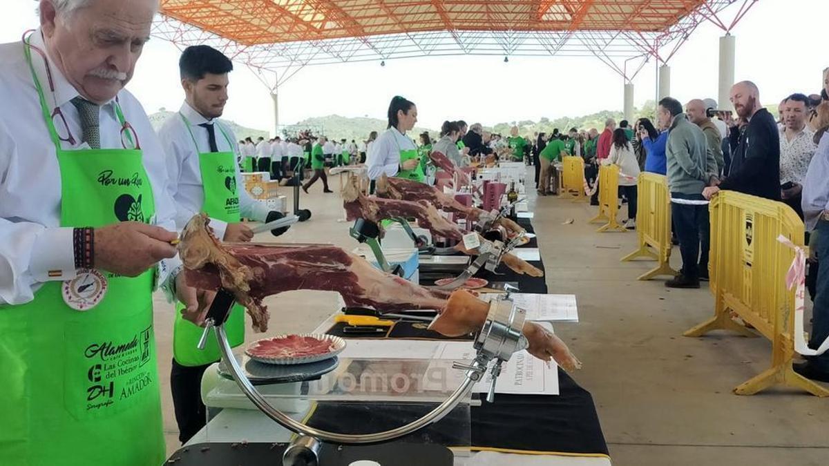 Gastronomía y solidaridad volverán a darse la mano en el encuentro de cortadores de jamón de Plasencia.