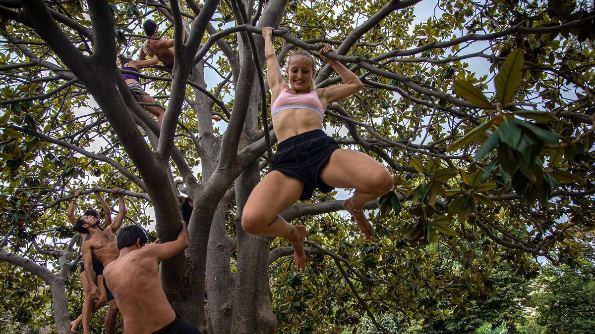 Victor, al fondo, vigila a sus alumnos por las ramas durante una clase de Tarzan Movement.