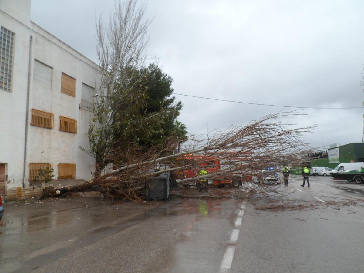 El temporal deja hasta 88 litros en las primeras horas en el norte de la provincia