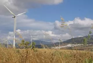 L’augment dels projectes d’energies renovables perjudica el sòl agrari