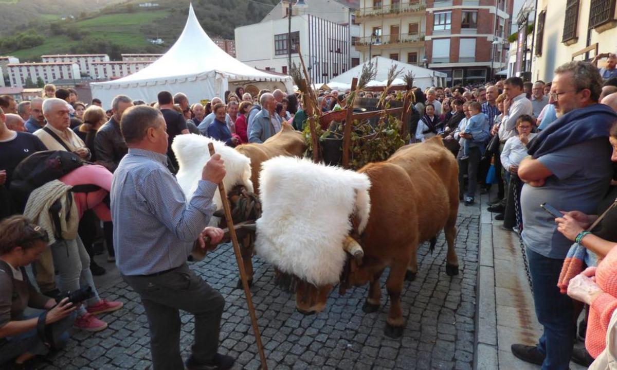 Cangas celebra su fiesta del vino con un brindis a la tradición y al futuro