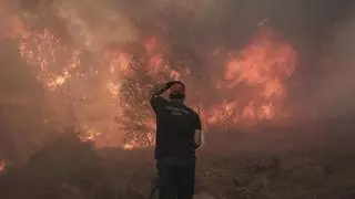 Megaincendios climáticos: la amenaza silenciosa que la repoblación rural y el monitoreo constante podrían frenar