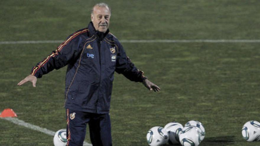 Vicente del Bosque durante el entrenamiento del combinado español en la Ciudad del Fútbol en Las Rozas (Madrid).