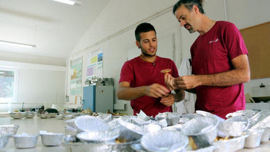 Experts del CTFC treballen amb bolets al laboratori.