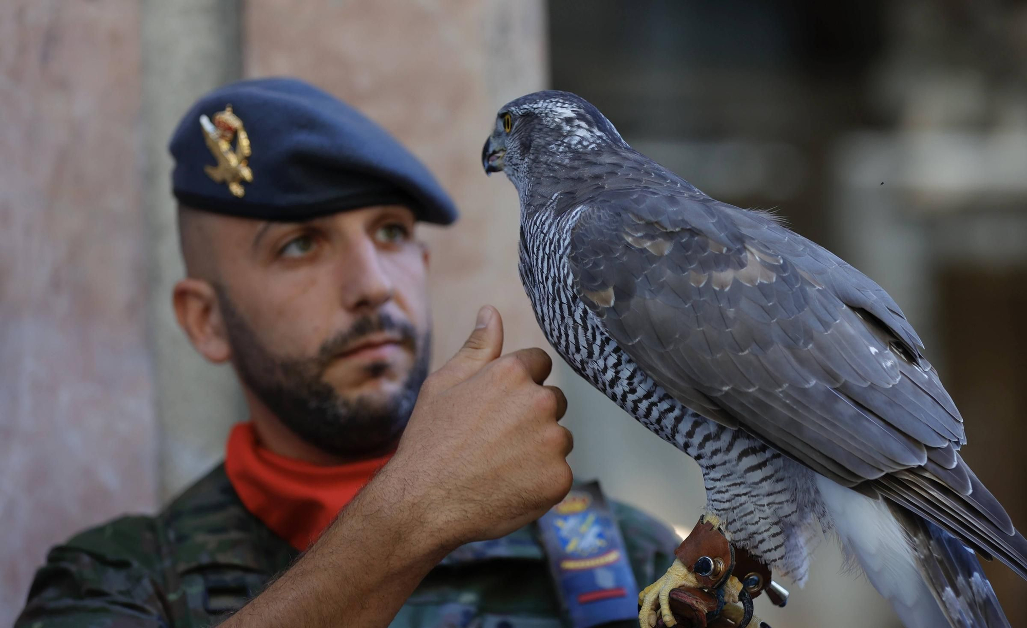 Parada militar en Oviedo para homenajear al Cabo Noval