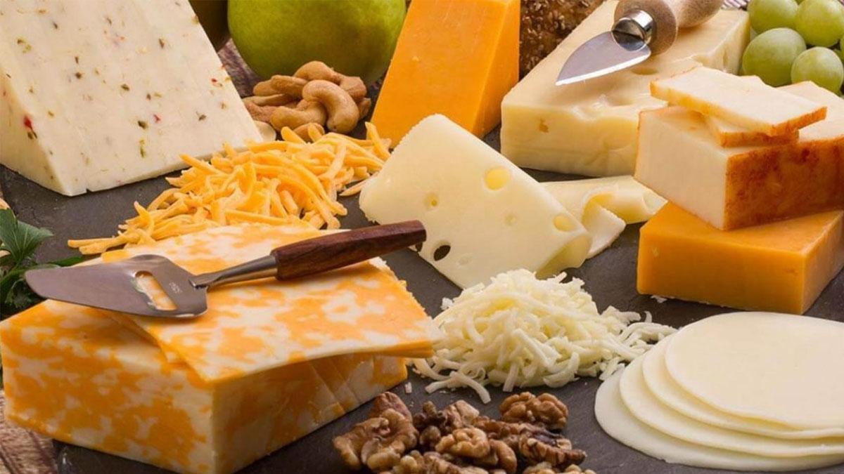 Gran variedad de quesos