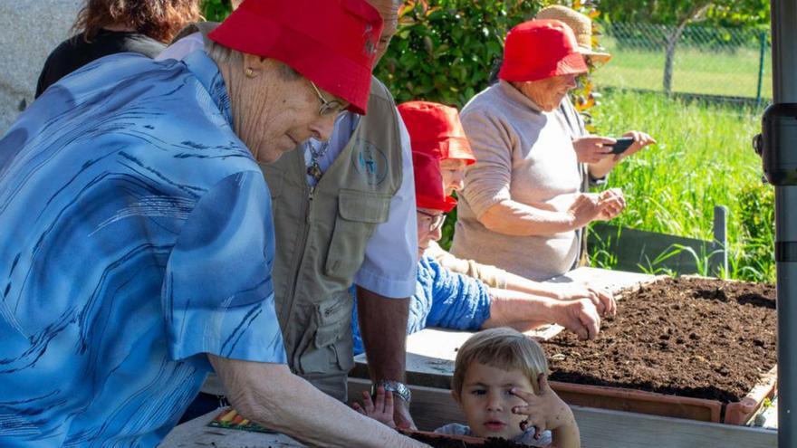 Mayores y niños participan en la plantación de semillas.   | // FDV