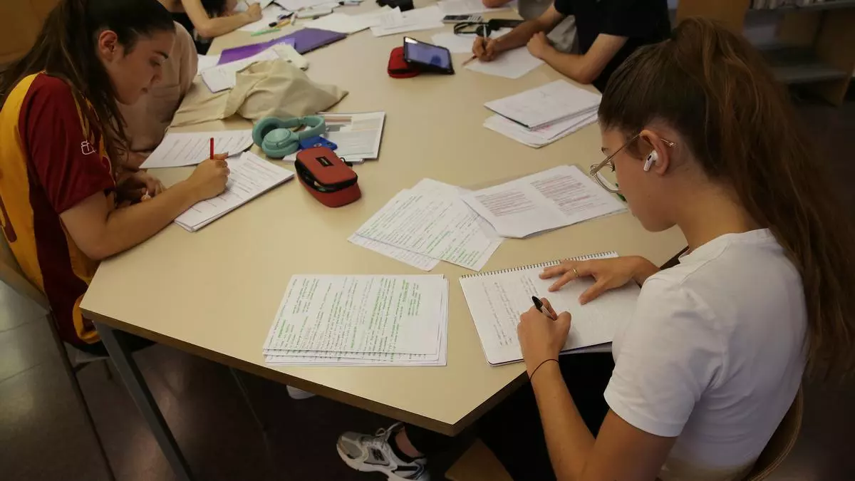 Sardinas, almejas, nueces y café: la dieta que debe seguir tu hijo si se presenta a la selectividad