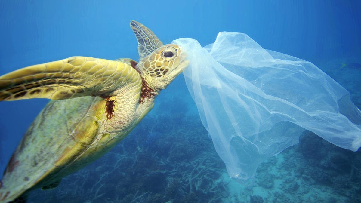 Turtle and Plastic in the Ocean